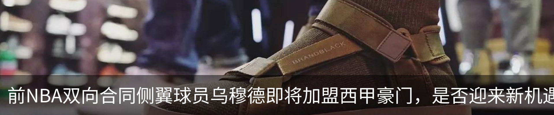 新闻动态