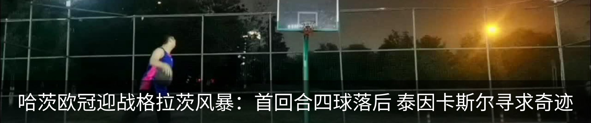 新闻动态