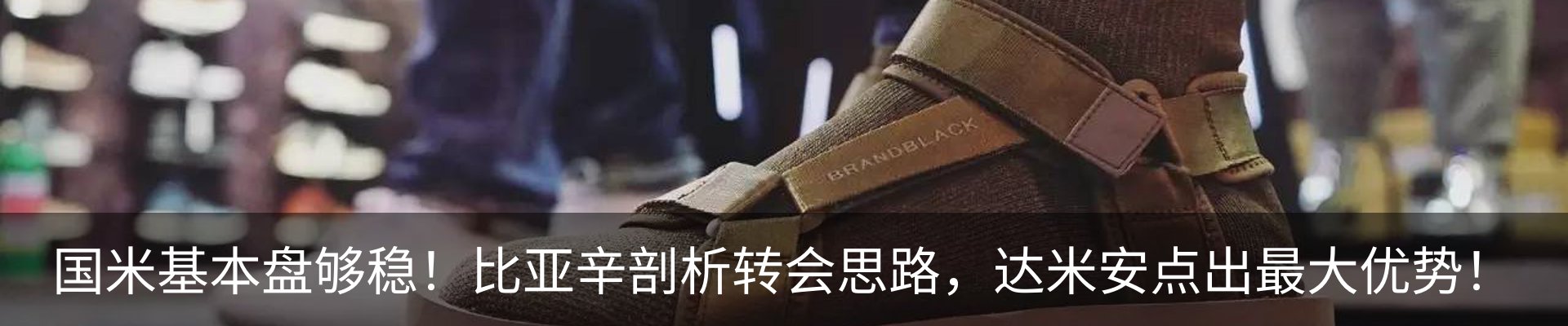 新闻动态