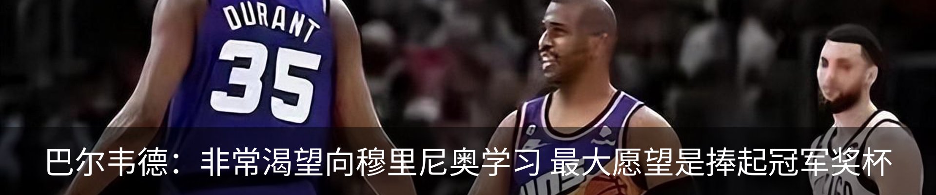 新闻动态