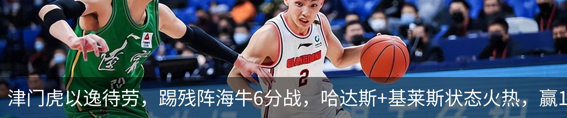 新闻动态