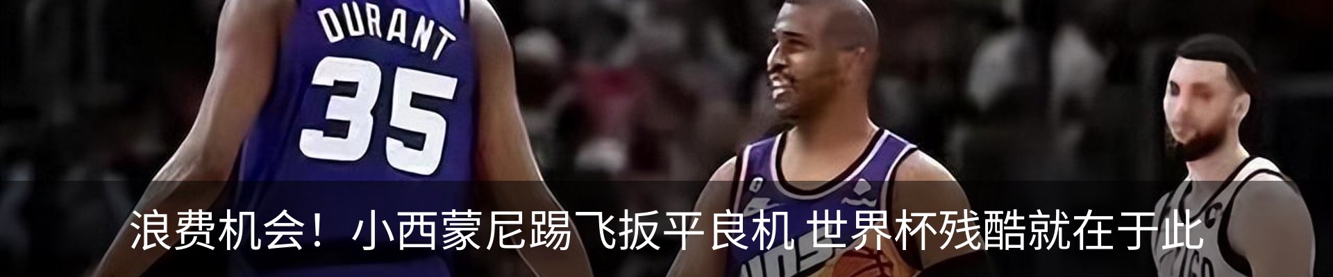 新闻动态