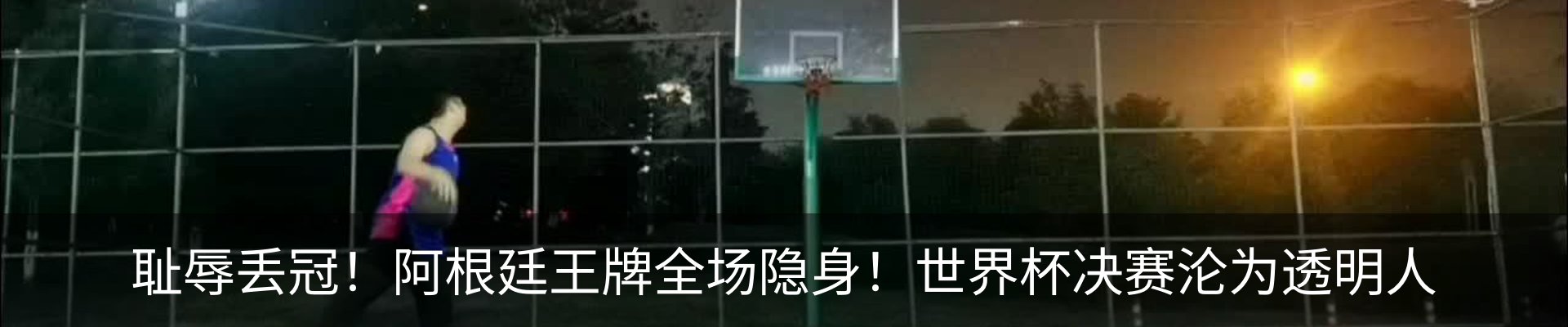 新闻动态