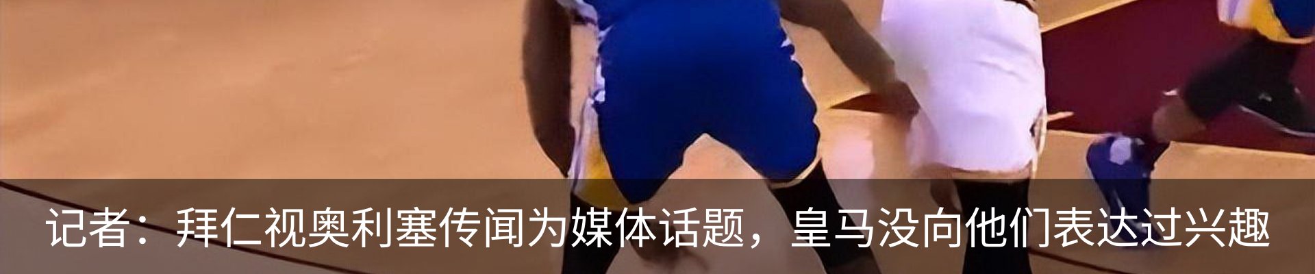 新闻动态