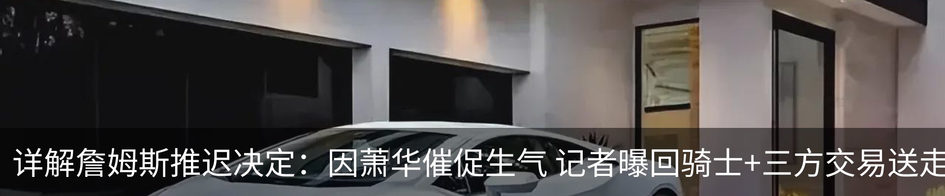 新闻动态